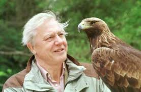 The facts will air on bbc one in 2020. Biography Sir David Attenborough Biography Online
