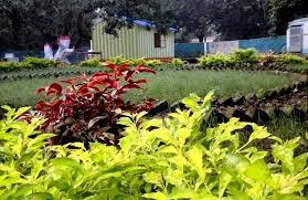 Image Result For Ullas Family Garden Image Result For Ullas Family Garden Image Result For Ullas Family Garden Image Resu Family Garden Garden Images Garden