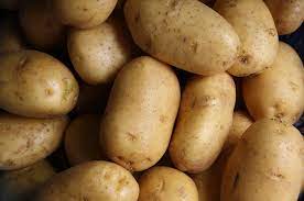 Tutte le varietà di patate. Tipi Di Patate Tutte Le 36 Varieta Italiane E Come Riconoscerle Dissapore