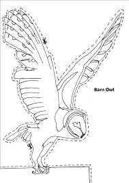 Barn free coloring pages are a fun way for kids of all ages to develop creativity, focus, motor skills and color recognition. Barn Owl Coloring Page Animals Town Animal Color Sheets Barn Owl Picture