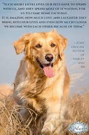 Life and love with the world's worst dog read more quotes from john grogan John Grogan Quote Marley And Me Dog Quotes Marley And Me Quotes
