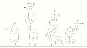 庭木の種類と選び方 庭木を植えるポイント vol 2 庭 木 庭木 低木 樹木