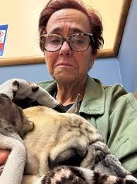 Loss of beloved pet cat Lolita