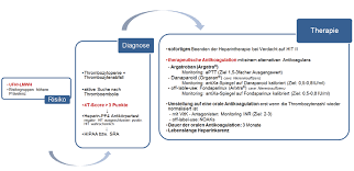 Antikoagulantien sind arzneistoffe, die die blutgerinnung verlangsamen. Https Www Oegari At Web Files Dateiarchiv Editor Empfehlung Der Arbeitsgruppe Perioperative Gerinnung Der Oegari Zum Thema Heparin Induzierte Thrombozytopenie Typ Ii Pdf