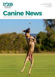 Canine News JanuaryFebruary 2021 by Dogswest - Issuu