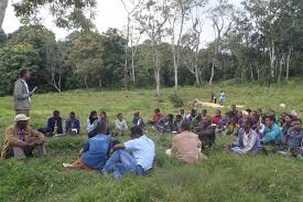 Lawineyung kafa & kücük efendi. Kafa Biodiversity Project Ethiopia Nabu