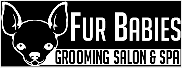 Puppy love grooming el paso. Fur Babies Grooming Salon Spa Pet Grooming El Paso Tx