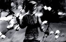 Growing Up He Wrote Renascence Well Known Poem And The Book The Ballad Of The Harp Weaver His Family Had Encouraged To Value Culture And Lite Un Anno Fa