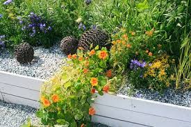 Mit einem steingarten bildest du eine alpine als vorbild können beispielsweise die kiesbeete japanischer gärten dienen. Blumenbeet Mit Kies Anlegen Pflanzen Pflegen