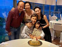 Ti lung is a hong kong actor, known for his numerous starring roles in a string of shaw brothers studio's films, particularly the blood brot. Mx3cwohnwhvram