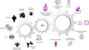 Get details on tax statistics. Chronic Inflammation In The Etiology Of Disease Across The Life Span Nature Medicine