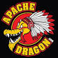 APACHE DRAGON LIVE! MARGARITAVILLE HOLLYWOOD BEACH event image