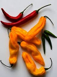 In ogni caso la misura del vaso deve essere discreta (30 cm di diametro, 30 cm di profondità). 5 Varieta Di Peperoncino Cure Naturali It