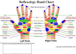 Free Downloads Reflexology Foot Chart My Own Thoughts