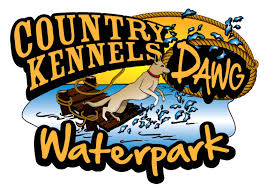 We did not find results for: Dog Sports And Activities List Homeskooling 4 Dogs