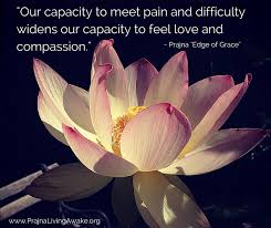 Quote From My Book Edge Of Grace A Seeker S Path To The Heart Of Liberation My Tribute To Liberation Living Awake Online Meditation Feeling Loved Feelings