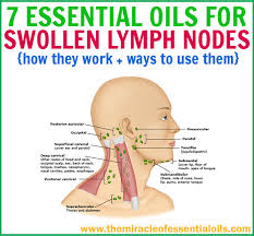 This article describes the anatomy of the head and neck of the human body, including the brain, bones, muscles, blood vessels, nerves, glands, nose, mouth, teeth, tongue, and throat. Painful Glands Back Of Neck