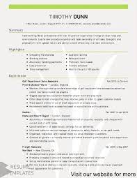 Resume Builder Software Professional Resume Template Australia Resume Template Professional Resume Template