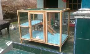 Maybe you would like to learn more about one of these? 96 Foto Desain Kandang Kucing Yang Bisa Anda Contoh