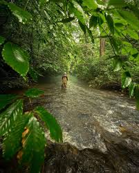 Come spend the morning, afternoon or entire day with us to experience fly fishing at its finest. Where To Go Fly Fishing In Georgia Official Georgia Tourism Travel Website Explore Georgia Org