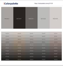 We did not find results for: 5 Latest Color Schemes With Zeus And Swiss Coffee Color Tone Combinations 2021 Icolorpalette