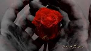With traces of nashville sound and the flow of patsy cline with the smooth vocals and string ensembles. The Rose Bette Midler Youtube