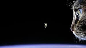 4k ultra hd funny wallpapers. Funny Black Light Design Dark Space Business 3d Hd Wallpaper Wallpaperbetter