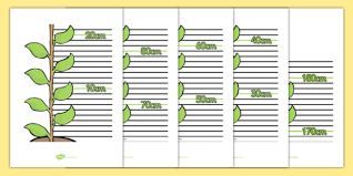 beanstalk height chart eyfs early years name measuring