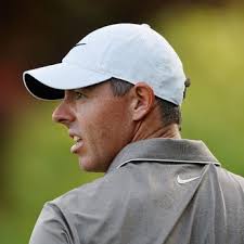 Video: MMA star Cathal Pendred shocked by reaction he got in bid to save  stranded dolphin