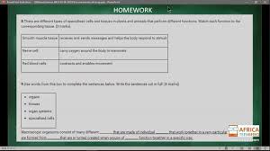 Maybe you would like to learn more about one of these? Grade 9 Natural Science 3 June 2020 Revision Plant And Animal Cells Youtube
