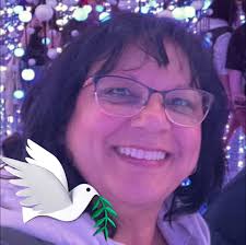 What are some excursion suggestions for Cornerbrook or St Johns?