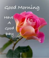 Images for her to share to give a special good morning. 740 Good Morning Flowers Ideas Good Morning Flowers Good Morning Good Morning Images