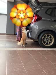 Copy dan hantar ke whatsapp di atas. Cik Jannah Panduan Membawa Kereta Dari Semenanjung Ke Sabah Sarawak Vice Versa