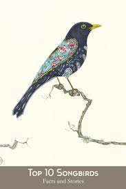 Four Birds On A Branch Tattoo Top 10 Songbirds Facts And Stories 2020 Goruntuler Ile Sanat Dersleri Sanat Kus