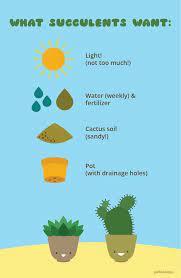 If you use fertilizers, always check the ingredient list for the presence of magnesium and sulfur. Super Informative Succulent Care Poster Enjoy Gardensthatwin Succulent Succulove Cactus Plants Succulents Succulent Care Succulove Succulents