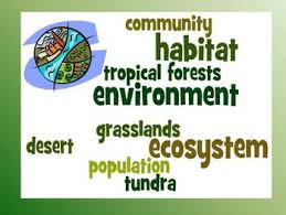 Ecosystems Vocabulary Study Guide And Quiz Third Grade Third Grade Science Science Classroom Second Grade Science