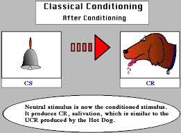 Educational Psychology Interactive Classical Conditioning