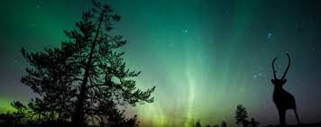 Und wann wieder aufstehen bei absoluter langeweile? Die 10 Besten Orte Um Polarlichter Zu Sehen Weltweit 2020