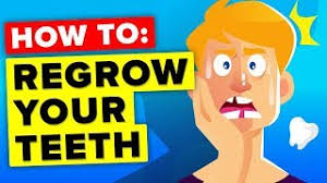 The human body's pretty amazing: Here Is How You Regrow Your Teeth It S Happening Right Now Youtube