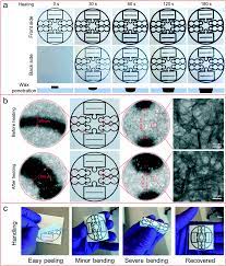 Find a nanny job in zelienople, pa. A Versatile Cost Effective And Flexible Wearable Biosensor For In Situ And Ex Situ Sweat Analysis And Personalized Nutrition Assessment Lab On A Chip Rsc Publishing