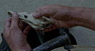 Original cast of the velociraptor resonating chamber seen in jurassic park 3. Jurassic Park Iii Velociraptor Resonating Chamber Page 2 Statue Forum