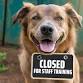 CLOSED-Staff Training — Lake Norman Animal Shelter