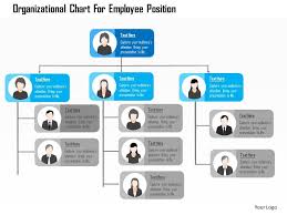 Organizational Chart For Employee Position Flat Powerpoint