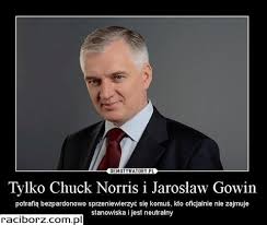 Memy + memy z anime. Dymisja Jaroslawa Gowina Memy Raciborski Portal Internetowy Raciborz Com Pl