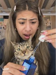 Discover Jasper: Your Ultimate Guide to All Things Jasper 🫶