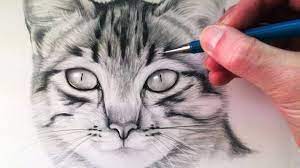 Black cat drawing this is not an easy task, but in this lesson, we will talk about how to do it in 3 versions! How To Draw A Cat Youtube
