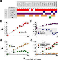 Controllability analysis of molecular pathways points to proteins that  control the entire interaction network