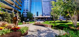 Bayan ve erkek iç çamaşırı, mayo ve pijama, gecelik üretiminde türkiye nin önde gelen markası. Your Safe Destination For Face To Face Care In Rochester Minnesota Mayo Clinic