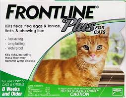 frontline plus flea tick cat kitten treatment 6 treatments