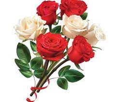 Red And White Rose Flower Rose Flower Png Rose Flower Rose Clipart